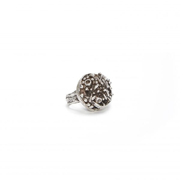 Brass Ring - Adjustable